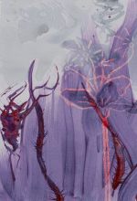 Brombeerrot&Kreuzdorngruen 6 jpg