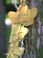 Im Natur-Naehatelier