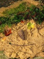 Landart 1