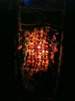 Lichtfenster 1