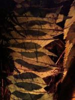Lichtfenster 3
