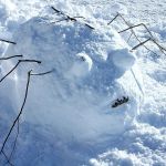 Schneespinne