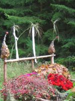 Waldtraeume im Fichtenbett
